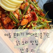 [경기광주] 남한산성 여름을 제대로 즐길 수 있는, 수영장 있는 백숙 오리구이 맛집 ‘산우리’ | 애견동반가능