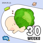 임신30주~32주 이야기