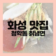 [화성-맛집] 더운 여름 차가운 냉면 추천! 웨이팅 맛집 '청학동 칡냉면'