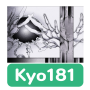 Kyo181 실리카겔 : 기타 코드 타브 악보 가사 해석