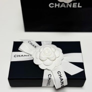 Chanel 샤넬 : 클래식 카드홀더 캐비어 실버 블랙