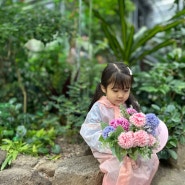 서울 비오는날 아이랑 갈만한곳 불암산 나비정원 나비온실