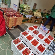 내돈내산 신논현역 영동교집 라인에 야채&과일 대박집