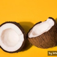 코코넛워터 효능과 부작용 칼로리 코코넛오일