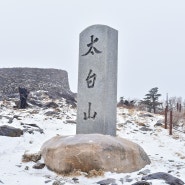 태백산 산행 (2023-12-02)