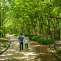 대전 힐링 명소 걷기좋은곳 도심 속 숲 체험 여행지 한밭수목원 서관