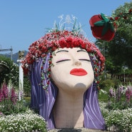 곡성 장미축제 장미공원 꽃향기 가득 세계장미축제