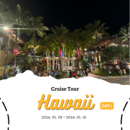 하와이 크루즈 여행 1일차 : 광주 - 인천공항 - 하와이 오하우 동부 섬 반일 투어