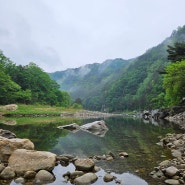 분천 산타마을 여행(세평둘레길 : 분천역 ~ 승부역)