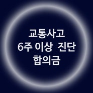 교통사고 6주 진단 합의 시기와 합의금에 대한 이야기!