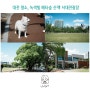 대전 명소 초록뷰 초여름 녹색빛으로 물든 메타숲 산책 서대전광장 시민공원