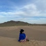 5월 몽골 여행 4박5일 2일차 : 미니사막, 낙타타기, 유목민 게르, 모래썰매, 별 보기