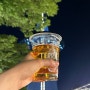 대전 한빛탑 맥주축제 비어위크 후기 및 꿀팁 야장 추천