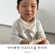아이배냇 서포터즈 순산양유아식 배냇맘 21기 후기