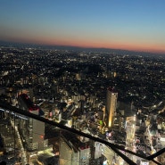 도쿄의 밤 즐기기(시부야스카이, 시부야요코초 노포거리)