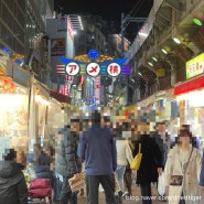 혼자떠난 일본여행 (10) - 마지막 관광 (우에노, 오다이바, 도쿄빅사이트 도쿄마라톤 엑스포)