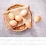 달걀’ 매일 먹지만, 이제껏 몰랐다… 더 신선하고 건강하게 먹으려면?