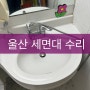 울산 세면대 샤워 겸용 수전 수리 기사입니다