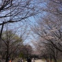 [서울숲/성동구 성수동] 식물원과 곤충박물관도 있어서 아이들과 나들이하기 좋았던 공원