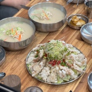 당진 맛집 모씨네칼국수 길몽 초계국수 닭곰탕 맛집