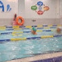 육아일기 유아수영 평형발차기 연습 서점 나들이