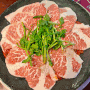 [목동맛집] 쯔양이 직접 다녀간 오목교 쭈꾸미 맛집 쭈꾸미도사 오목교점