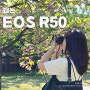 캐논 EOS R50 미러리스 입문용 카메라 브이로그 스펙 정리 이벤트 정보