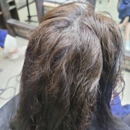 곱슬머리리 뿌리매직 (얇은머리 + 새치염색 )