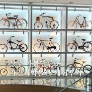 상주 아이와 가볼만한곳 상주자전거박물관 자전거체험 가격 후기