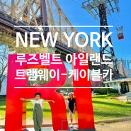 [뉴욕 여행] 루즈벨트 아일랜드 트램웨이 케이블카(Roosevelt Island Tramway) 탑승장소, 탑승팁, 비용