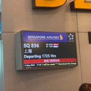 싱가포르 여행 :: 창이공항 3터미널 ~ 상하이 푸동 입국 과정 (SQ836, 싱가포르항공)