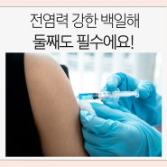 임산부 백일해주사 둘째도 필수! 시기 및 가격