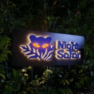 싱가포르 🇸🇬 아이와 함께 가볼만한 곳 나이트사파리 동물원 관람 (ft.나이트사파리라고 해서 밤에 가는 거 아님 ❌️)