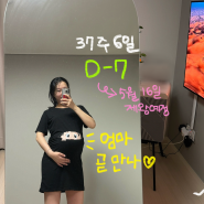만삭 임산부의 마지막 임신 주수 일기, 막달 증상, 37주 38주, 출산 D-1