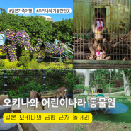 일본 가족여행 추천 오키나와 가볼만한곳 어린이나라 동물원