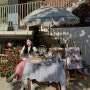 [서울숲 코츠] 사진이 향기롭고 샴푸가 아름다운 이브로쉐 팝업 스토어 방문! 라즈베리 샤인 바스켓 (~5/19)