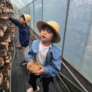 아이랑 김포 이인버섯농장 체험