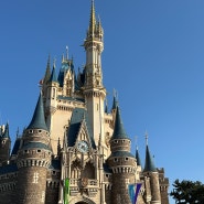[ 일상 ] 도쿄 3박 4일 여행에 디즈니랜드 다녀온 주간일기