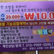 팡팡 염색 모발 팡팡을 하다