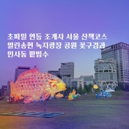 초파일 연등 조계사 서울 산책코스 | 열린송현 녹지광장 공원 꽃구경과 인사동 팥빙수
