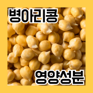 [다이어트 노트] 병아리콩 영양성분 (삶은 병아리콩, Chick Peas 칙피 단백질, 칼로리, 후무스)