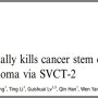 암줄기 세포를 죽이는 통로가 바로 SVCT2다