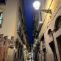 바르셀로나 여행 : 내돈내산 고딕 지구 투어 &해산물 맛집