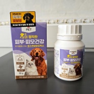 강아지 피부영양제 '일동펫 더 정직한 피부, 피모건강' 애견 영양제