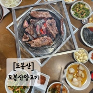 [도봉]_도봉산양고기_야외에서 즐길 수 있는 양갈비 맛집! (주차안내/콜키지안내)