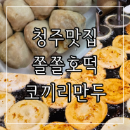 청주시내맛집 성안길 호떡 맛집 쫄쫄호떡 쯔양 만두 맛집 코끼리만두 솔직후기