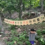 대전 유성구 국립대전숲체원 :: 아이들과 체험하기 좋은 국립대전숲체험 산책하기 좋아 숲놀이터🍀