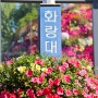 5월 서울 가볼만한곳 노원 데이트 화랑대철도공원 경춘선숲길