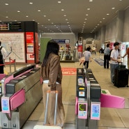 오사카 난카이 라피트 현장구매 & 타는 곳, 내부 탑승 후기 (피치항공 이용 후 난바역 가기)