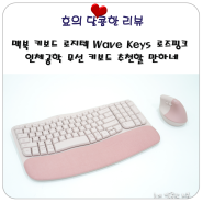 맥북 키보드 로지텍 Wave Keys 로즈핑크 인체공학 무선 키보드 추천할 만하네~